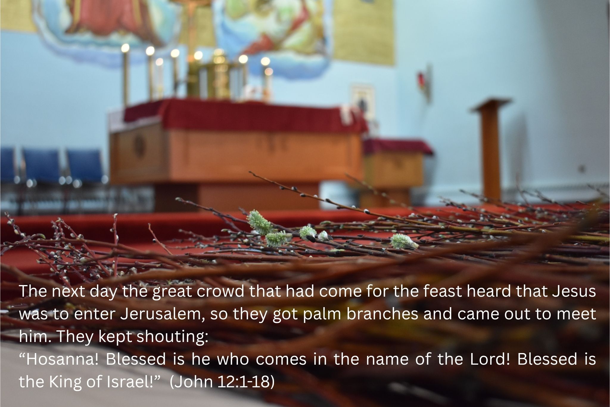 Sacred Heart Church parish photo 8