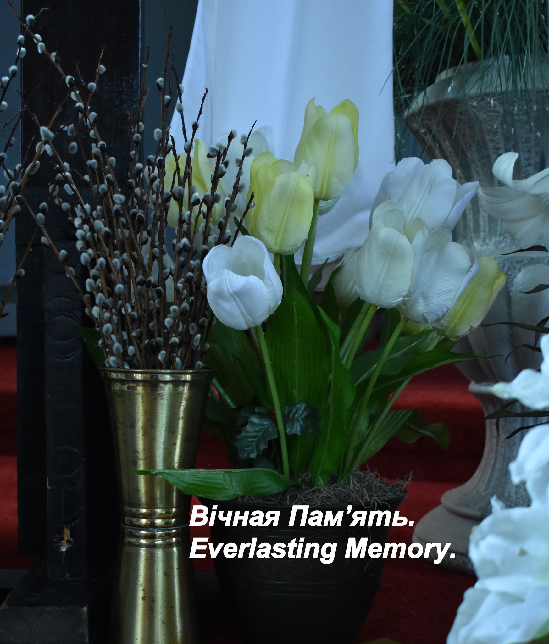 Social justice and advocacy